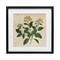 Stupell Industries Yellow Bushels Botanical Illustration Framed Print Under Glass, design by Petal Prints Design